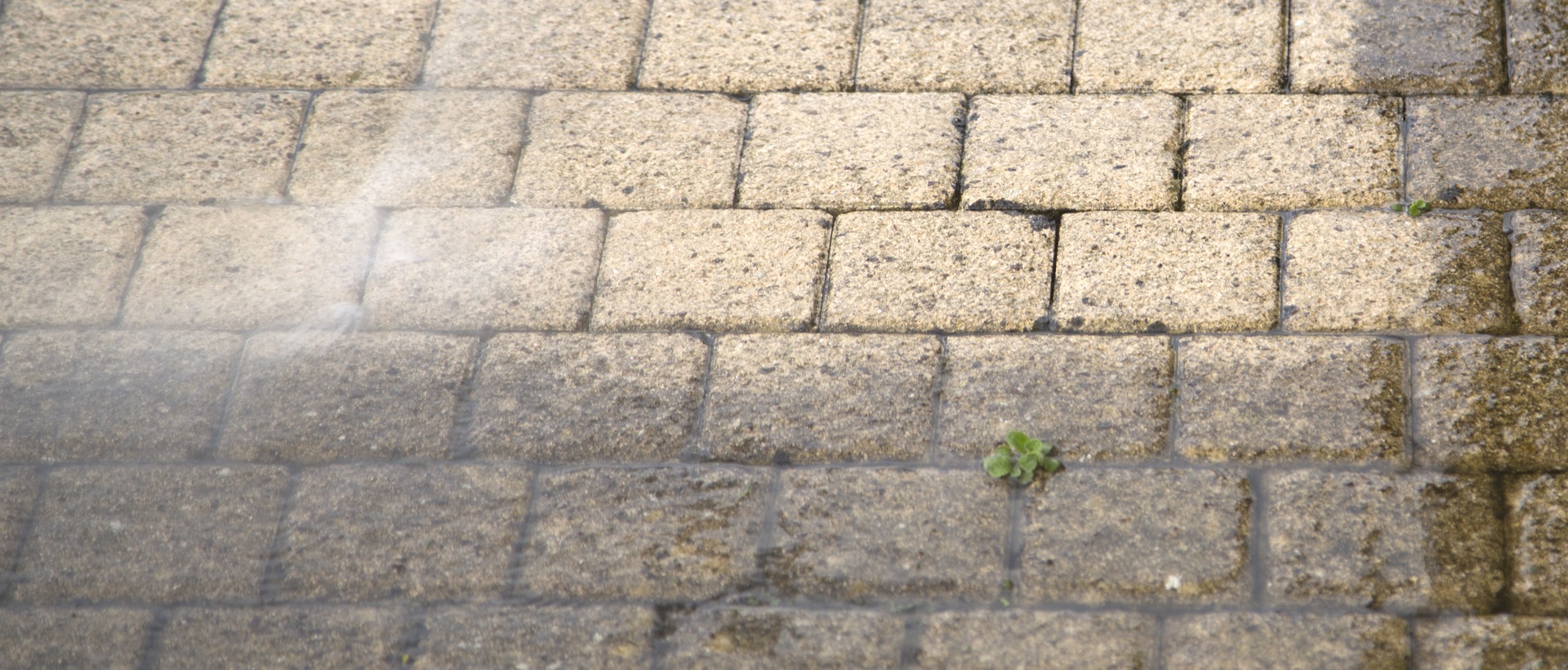 flagging and patios N14