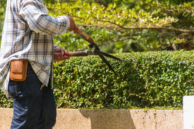 Garden Maintenance Southgate, N14