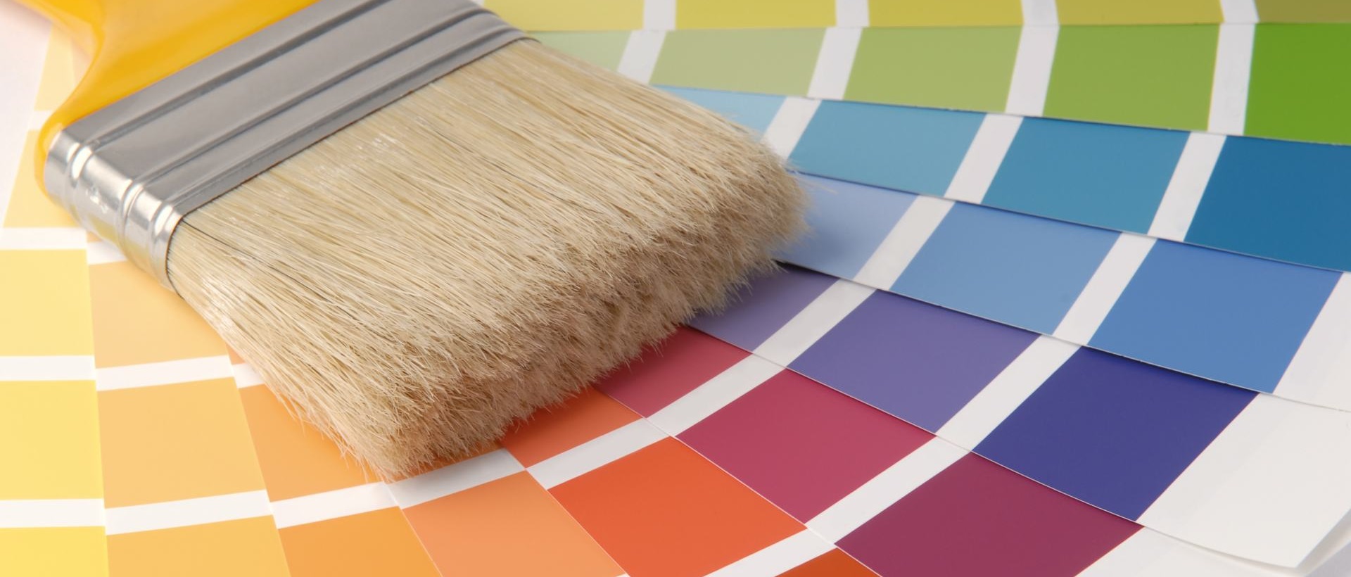 Painter N14